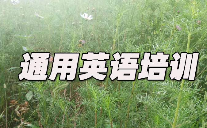 南通通用英语培训哪里好_价格