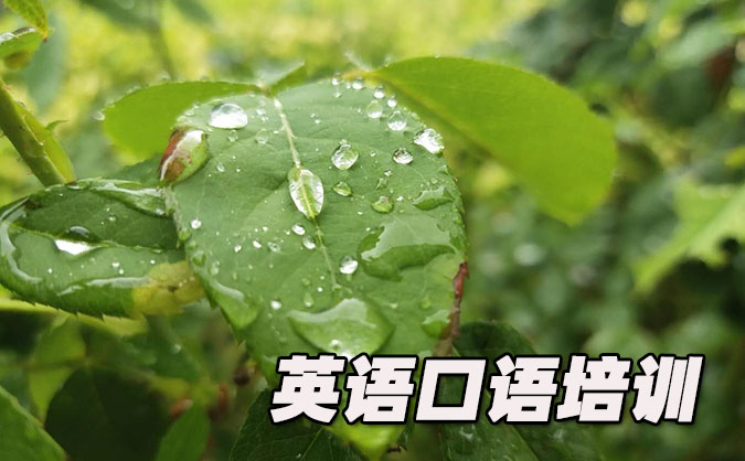 成都锦江区从零开始学英语口语_专业培训机构，免费试听-美联学校