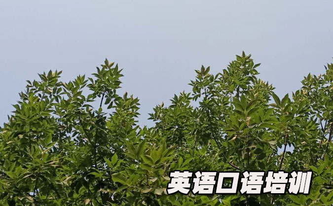 广州天河区从零开始学英语口语_专业培训机构，免费试听-美联学校