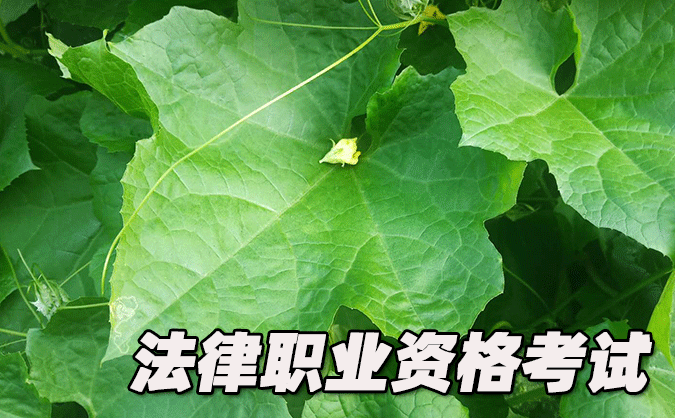 平顶山法律职业资格考试-报名条件-考试时间-考试科目