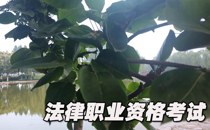  株洲法律职业资格考试-报名条件-考试时间-考试科目