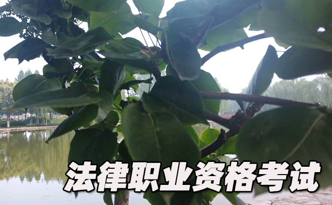 云南法律职业资格考试-报名条件-考试时间-考试科目